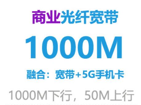 5G商务专线1000M光纤：699元/月