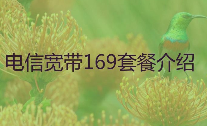 深圳电信宽带套餐169元怎么样？