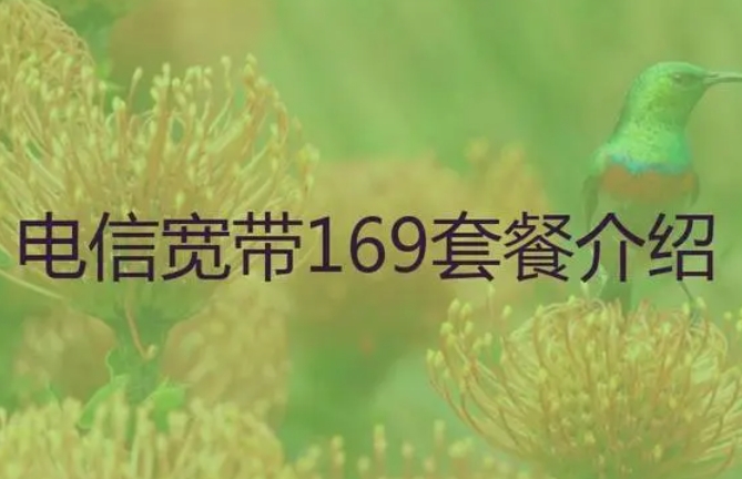 深圳电信宽带套餐169