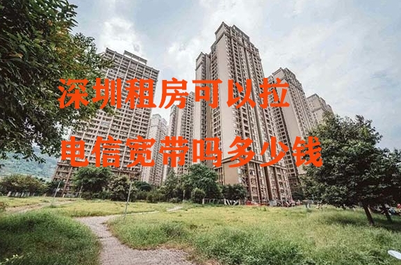 深圳租房可以拉电信宽带吗多少钱