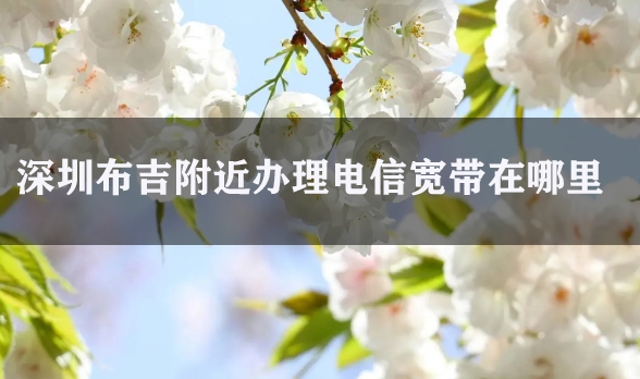 深圳布吉附近办理电信宽带在哪里