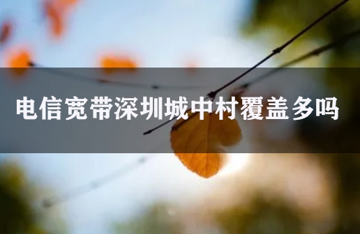 1700142096158819.jpg 电信宽带深圳城中村覆盖多吗
