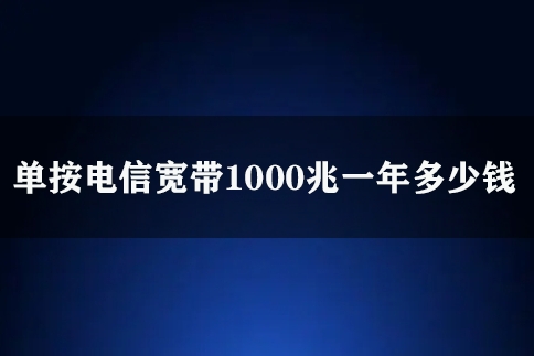 单按电信宽带1000兆一年多少钱